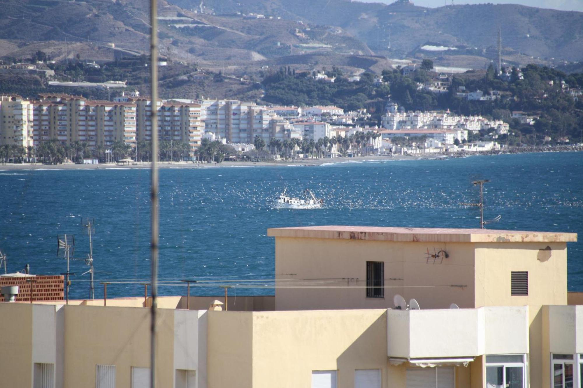 Apartment Estudio Plazamar *