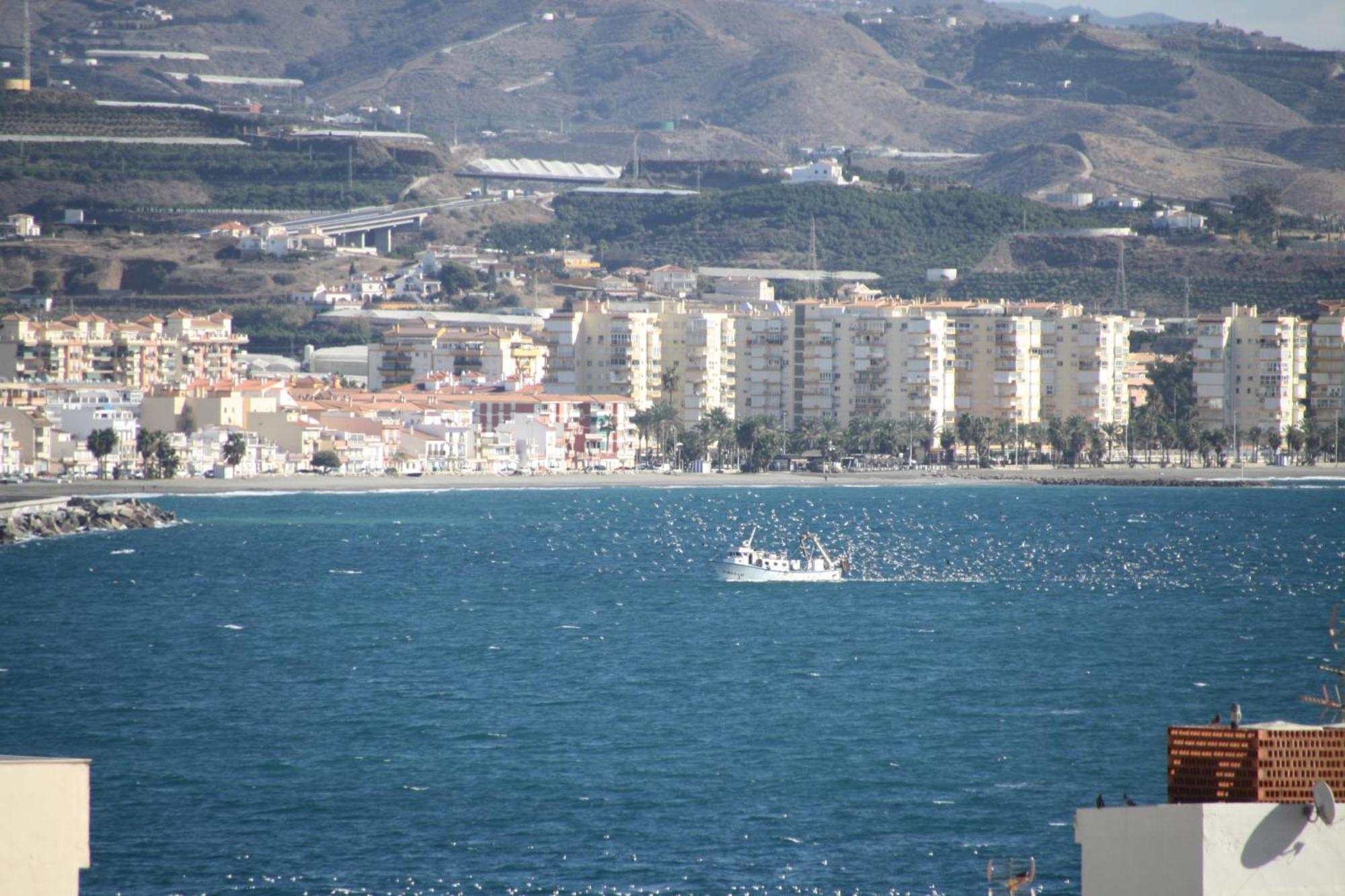 Apartment Estudio Plazamar